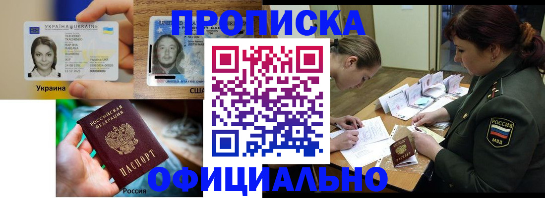 временная регистрация поиск в Тереке